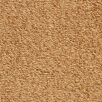 Hampton 55 Belakos Tapijt Resistanz Collectie