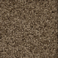 Princeton 820 Belakos Tapijt Resistanz Collectie 