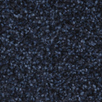 Princeton 980 Belakos Tapijt Resistanz Collectie 