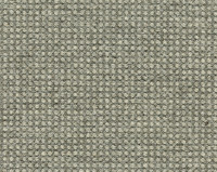 Desso Rodin Wonderful Wool 9960