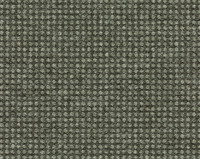 Desso Rodin Wonderful Wool 9114