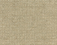 Desso Rodin Wonderful Wool 9107