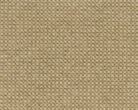 Desso Rodin Wonderful Wool 2054