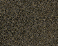 Bonaparte Chinchilla 158