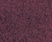 Bonaparte Chinchilla 115