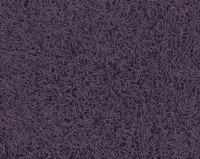 Bonaparte Chinchilla 118