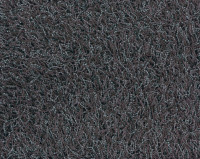 Bonaparte Chinchilla 138