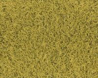 Bonaparte Chinchilla 127