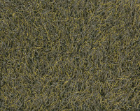 Bonaparte Chinchilla 122