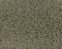 Bonaparte Chinchilla 190