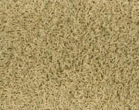 Bonaparte Chinchilla 173