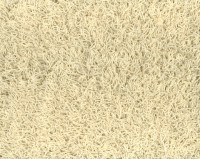 Bonaparte Chinchilla 172