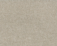 Bonaparte Kira´s Dream 291