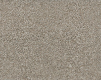 Bonaparte Kira's Dream 290