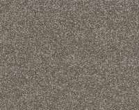 Bonaparte Kira's Dream 294