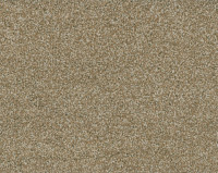 Bonaparte Kira's Dream 271