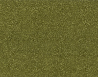 Bonaparte Kira's Dream 224