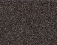 Bonaparte Kira's Dream 245