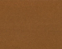 Bonaparte Montana 464