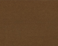 Bonaparte Montana 441