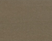 Bonaparte Montana 474