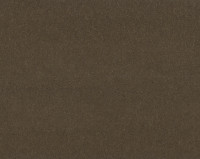 Bonaparte Montana 449