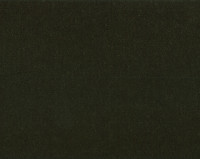 Bonaparte Montana 450