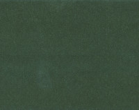 Bonaparte Montana 423