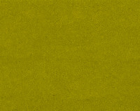 Bonaparte Montana 425