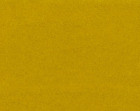 Bonaparte Montana 481