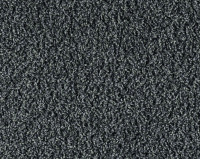 Bonaparte Vincent 294