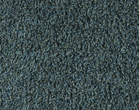 Bonaparte Vincent 226