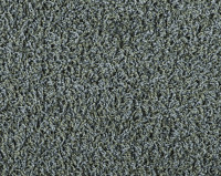 Bonaparte Vincent 221