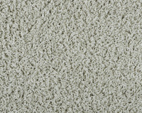 Bonaparte Vincent 271 