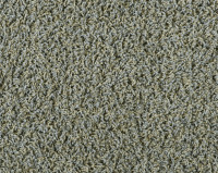 Bonaparte Vincent 291