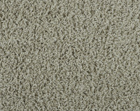 Bonaparte Vincent 272