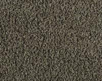 Bonaparte Vincent 248