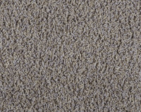 Bonaparte Vincent 241