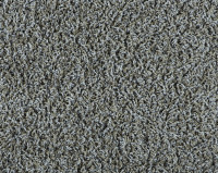 Bonaparte Vincent 293