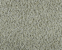 Bonaparte Vincent 290