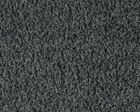 Bonaparte Vincent 234