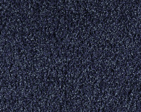 Bonaparte Vincent 231