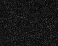 Bonaparte Vincent 250