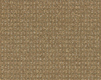 Bonaparte Esprit 146