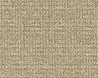 Bonaparte Esprit 174