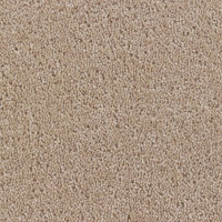 Villa 2711 Banjo Nouwens Bogaers Tapijt 