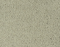 Parade Colour King 197 