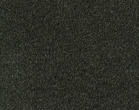 Parade Colour King 158