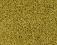 Parade Colour King 182