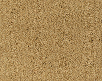 Parade Colour King 167